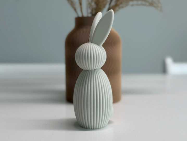 CONEJO DE PASQUA MINIMALISTA - imagen 1
